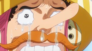 One Piece: finalmente consegnato il momento atteso da 20 anni dai fan e non ha deluso