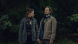 Netflix serie crime in 12 episodi con rating perfetto torna e conquista il pubblico mondiale