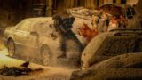Every horror movie in arrivo nel 2026 calendario completo