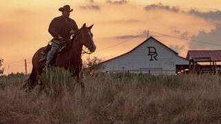 Dutton ranch: la realtà più triste di yellowstone che nessuno nega