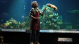 Remarkably bright creatures cast: attori principali e adattamento netflix