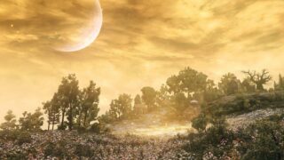Elden Ring 2 prequel: setting che divide i gamer