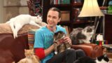Sheldon Cooper, la scena più divertente di The Big Bang Theory 18 anni dopo: perché resta tra le migliori serie tv