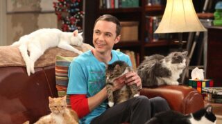 Sheldon Cooper, la scena più divertente di The Big Bang Theory 18 anni dopo: perché resta tra le migliori serie tv