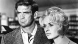 The birds remake in tv: alfred hitchcock torna con un  adattamento televisivo