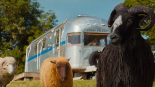 The Sheep Detectives review: un mistero leggero e divertente con vibes di Thursday Murder Club e Babe