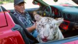 Documentari quasi perfetti da vedere in streaming su netflix