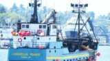 Deadliest catch cornelia marie perché è partita all’improvviso e cosa è successo