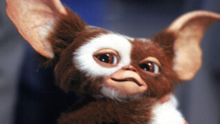 Gremlins il futuro della saga dopo la promessa di chris columbus senza reboot