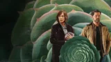 Miss You, Love You, recensione della serie con Allison Janney e cosa aspettarsi