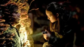 The last of us terza stagione: le riprese sarebbero state sospese