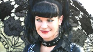 Ncis: pauley perrette torna con l ex collega dopo i cambi di cast della stagione 24