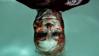 Backrooms: il film horror nascosto imperdibile del 2016 da vedere assolutamente