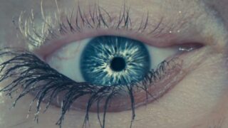 Sci fi movies da vedere prima di disclosure day