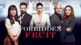 Forbidden Fruit anticipazioni 4 giugno il ricatto di Sahika e il tormento interiore di Yildiz