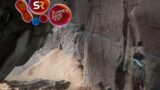 Director di shadow of the colossus prossimo gioco: cosa ha detto sul  progetto