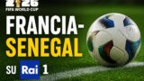 Cosa vedere stasera su Rai 1, 16 Giugno 2026