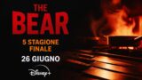 The Bear 5 esce il 26 giugno su Disney+: trailer e ultima stagione