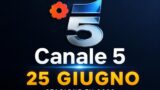 Cosa vedere stasera su Canale 5, 25 giugno 2026