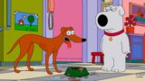 Cani iconici dei programmi tv: 10 show famosi e i loro protagonisti