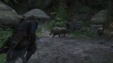 Assassin’s creed black flag resynced animali cacciabili dove trovarli e come sbloccarli