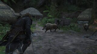 Assassin’s creed black flag resynced animali cacciabili dove trovarli e come sbloccarli