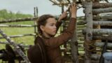 Wild book rights scandal spiegato: cosa c è dietro little house on the prairie