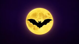 Batman Caped Crusader S2 su Prime Video