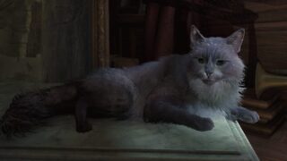 Assassin’s Creed Black Flag resynced: tutte le navi, gli animali e come sbloccarli
