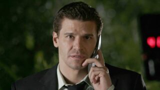 David Boreanaz The Rockford Files stagione 1 numero episodi confermato ufficialmente