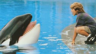 Free Willy sta per tornare: grandi novità per i fan del cult anni ’90