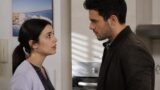 UPAS 24/7: Rossella e Nunzio lite in Calabria