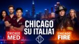 Vento d’estate da Chicago: su Italia1 arrivano le nuove stagioni di Med e Fire
