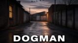 Dogman stasera su Rai 4: trama e cast
