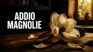 Il colore delle Magnolie cancellata da Netflix dopo 5 stagioni