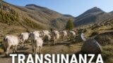 Transumanza, il documentario di oggi su Rai 3